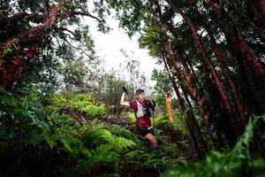 BIB: 
                            <button type="button" onclick="openModal(26201734)" class="btn btn-primary btn-sm float-right btn-popup" data-toggle="modal" data-target=".modal-high-quality">
                        <i class="fas fa-shopping-cart"></i> Add to Cart
                    </button>
                                            <button type="button" onclick="isThisMe(26201734, true)" class="btn btn-success btn-sm float-right btn-popup btn-isme hidden" data-toggle="tooltip" data-placement="bottom" title="นี่คือรูปของคุณใช่ไหม คลิกที่นี่เพื่อเอาเข้าอัลบั้ม">
                        <i class="fas fa-plus"></i> Add to album
                    </button>
                    <button type="button" onclick="isThisMe(26201734, false)" class="btn btn-warning btn-sm float-right btn-popup btn-isnotme hidden">
                        <i class="fas fa-ban"></i> Remove from album
                    </button>